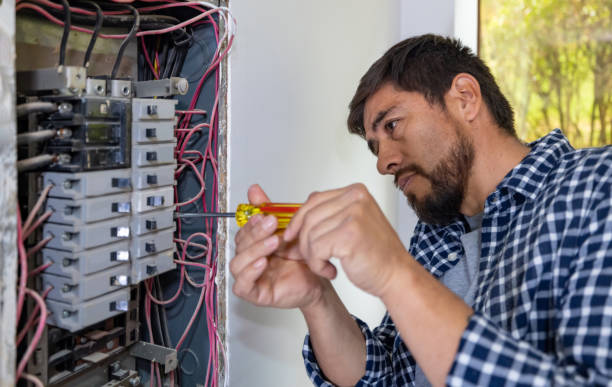Best Electric Panel Repair  in Edmonston, MD